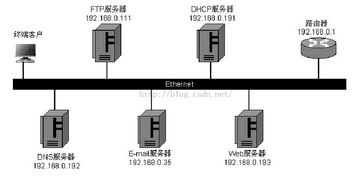 計算機(jī)網(wǎng)絡(luò)信息服務(wù)系統(tǒng)的裝配與配置