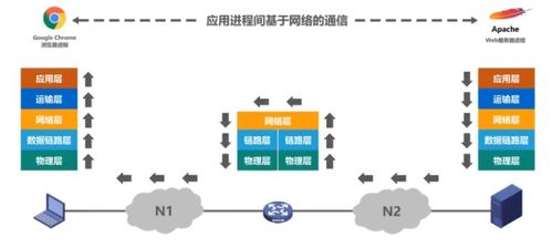 計算機(jī)網(wǎng)絡(luò)體系結(jié)構(gòu)與計算機(jī)系統(tǒng)服務(wù)